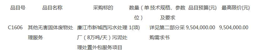 广东省廉江市新城西污水处理厂(8万吨/天)污泥处理处置外包服务项目